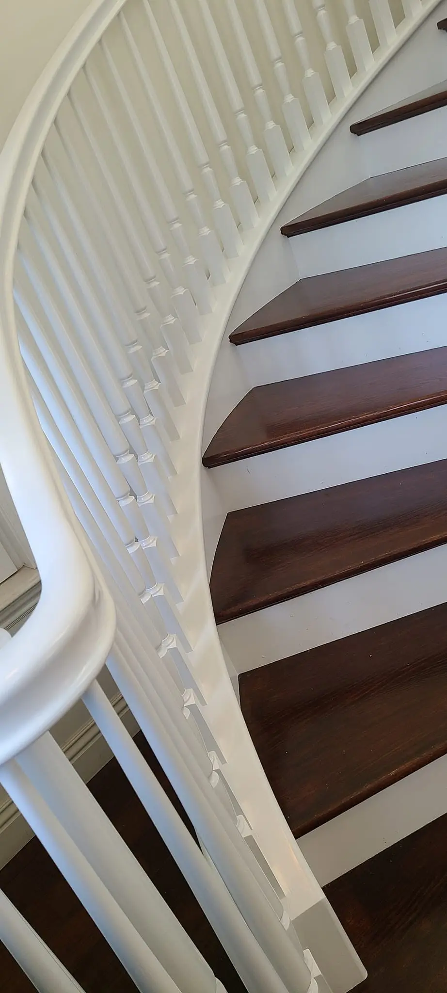 Freshly painted white curved staircase balusters above dark-stained treads